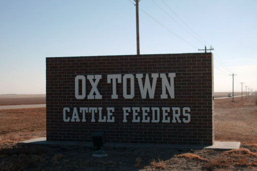 Ox Town Cattle Feeders
