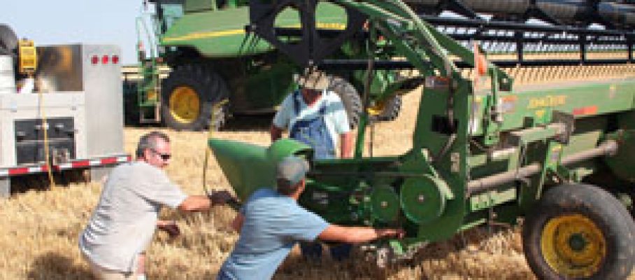Grubb and Sons Harvesting